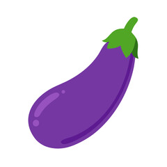 purple eggplant vector 