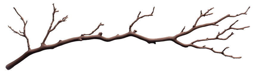 Branching Out Single Brown Wood Branch Isolated on White and Transparent Background
