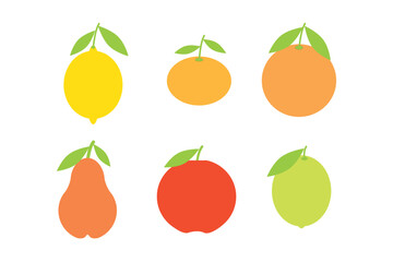 Fresh citrus fruits set. Orange, grapefruit, lemon, lime, apple and pear