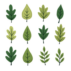 Set Green leaves isolated on white, set of green leaves