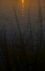 Natural reflection of the setting sun in the water