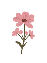 minimalist flower in pink tones