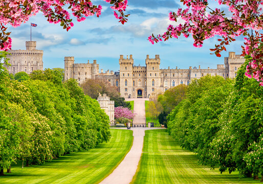 Long walk to Windsor castle in spring, London suburbs, UK