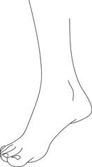 black and white line drawing of a female foot. Illustration isolated on white background