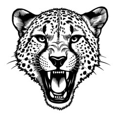 Fototapeta premium Angry Cheetah Head with Open Mouth and Fangs in Black and White Outline Line Art Drawing