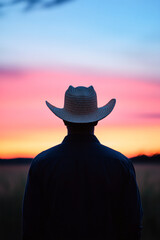Rear view of cowboy at sunset in rural landscape of freedom