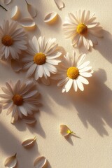 Beautiful pastel peachy gerbera flowers on beige background. Aesthetic minimal floral composition with copy space