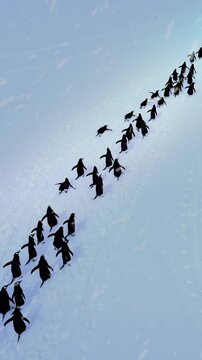 A group of penguins waddles across a vast expanse of snow migrating in a harsh, icy environment, Emperor Penguin Migration