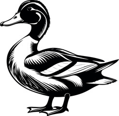 Duck silhoutte vector illustration