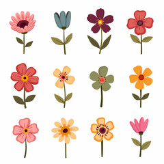 Set of flowers, set of vector flowers	