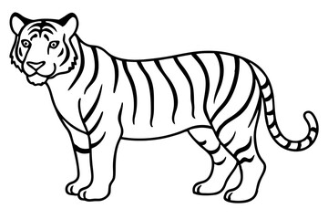 Single Line Tiger Vector Design