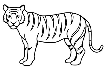 Single Line Tiger Vector Design