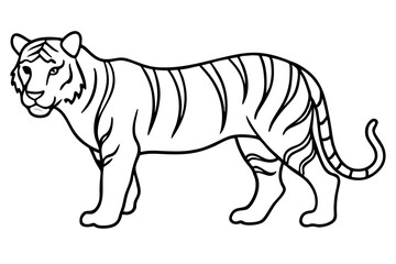 Single Line Tiger Vector Design