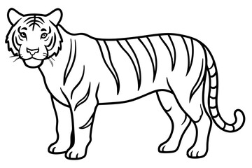 Single Line Tiger Vector Design