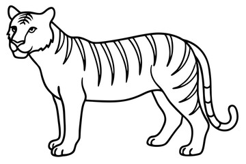 Single Line Tiger Vector Design