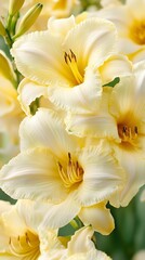Photo of the ancient Sphinx rock formation
Close-up of yellow daylily in full bloom
