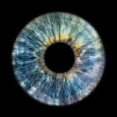 Close up of eye iris on black background, macro, photography 