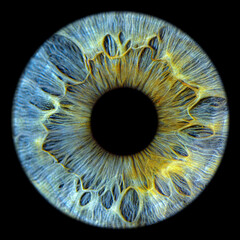Close up of eye iris on black background, macro, photography 