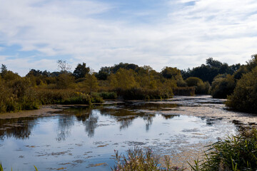 Beautiful landscape with lake in forest on autumn day
