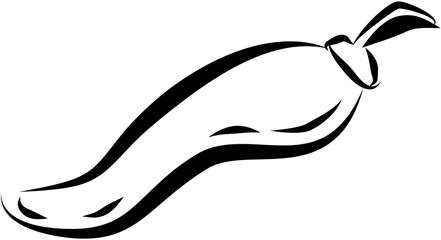 Mexican food. Hand drawn vector isolated doodle. Chili pepper 