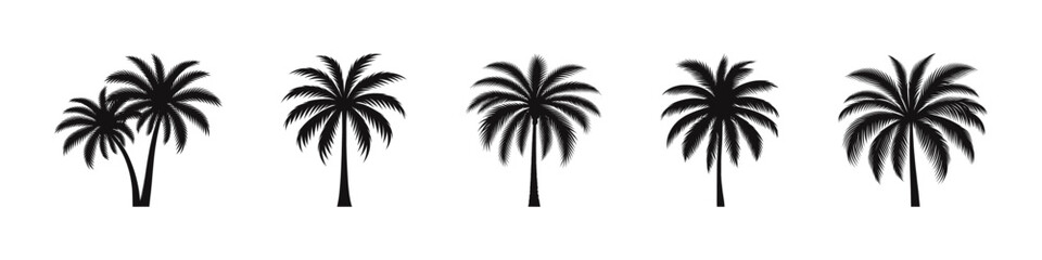 Palm tree silhouettes set. Tropic coconut tree collection. Vector illustration.