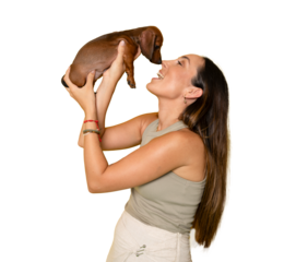 Cute young woman kisses and hugs her puppy dachshund dog. Love between owner and dog. Isolated on transparent background. Studio portrait. PNG transparent.