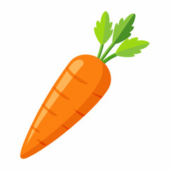 carrot isolated on White