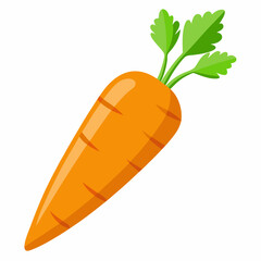 carrot isolated on White