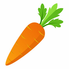 carrot isolated on White