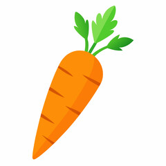 carrot isolated on White
