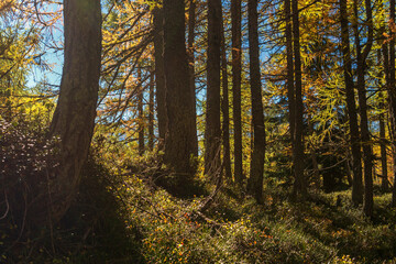 autumnal mountain landscape inside the Alpe Devero, Val D'Ossola, Verbania, Italia