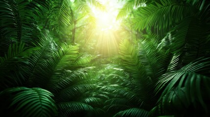 Sunrise illuminates fern clearing in lush forest nature photography tranquil environment vibrant viewpoint