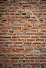 Fototapeta premium An antique brick wall serves as a textured backdrop.