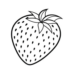 Strawberry line art vector illustration.eps