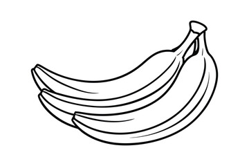 Banana line art vector illustration.eps