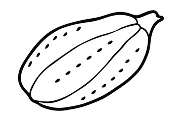 Papaya line art vector illustration.eps