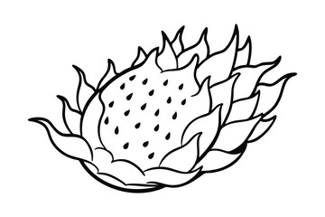 Dragon fruit line art vector illustration.eps