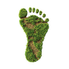 A green footprint made of grass, symbolizing nature and environmental awareness.