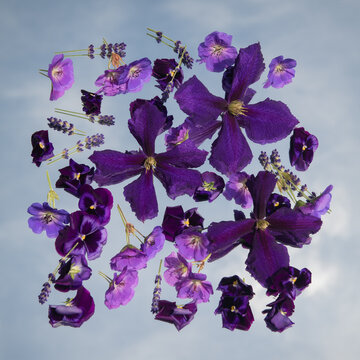 artistic mix of purple flowers placed on mirror with clematis and vinca minor