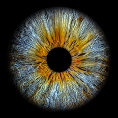 Close up of eye iris on black background, macro, photography 