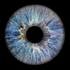 Close up of eye iris on black background, macro, photography 