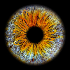 Close up of eye iris on black background, macro, photography 