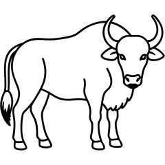 Buffalo Outline Minimalist Vector Art