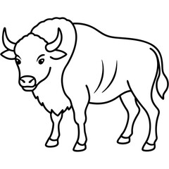 Buffalo Outline Minimalist Vector Art