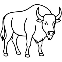 Buffalo Outline Minimalist Vector Art