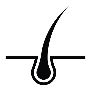 recommend clip art: Hair root vector icon. Hair follicle and skin structure diagram. Black silhouette isolated on white background.
