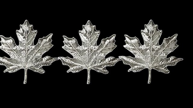 Decorative metal leaves arranged in a row against a dark background showcasing intricate details and craftsmanship