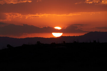 Sunset in Serengeti, Tanzania.