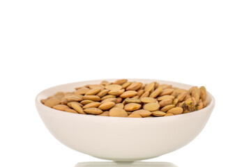 Raw lentils in a white saucer, isolated on a white background, macro.