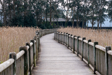 Wood walkway in Catoira, Galicia
